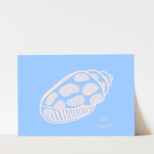 sea shell - fine art print