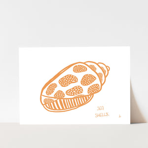 sea shell - fine art print